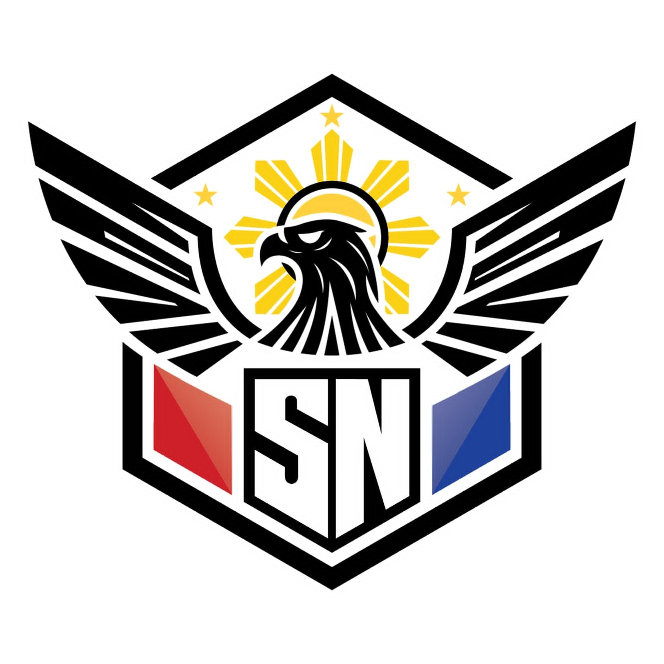 SN Security Agency, Inc. Logo
